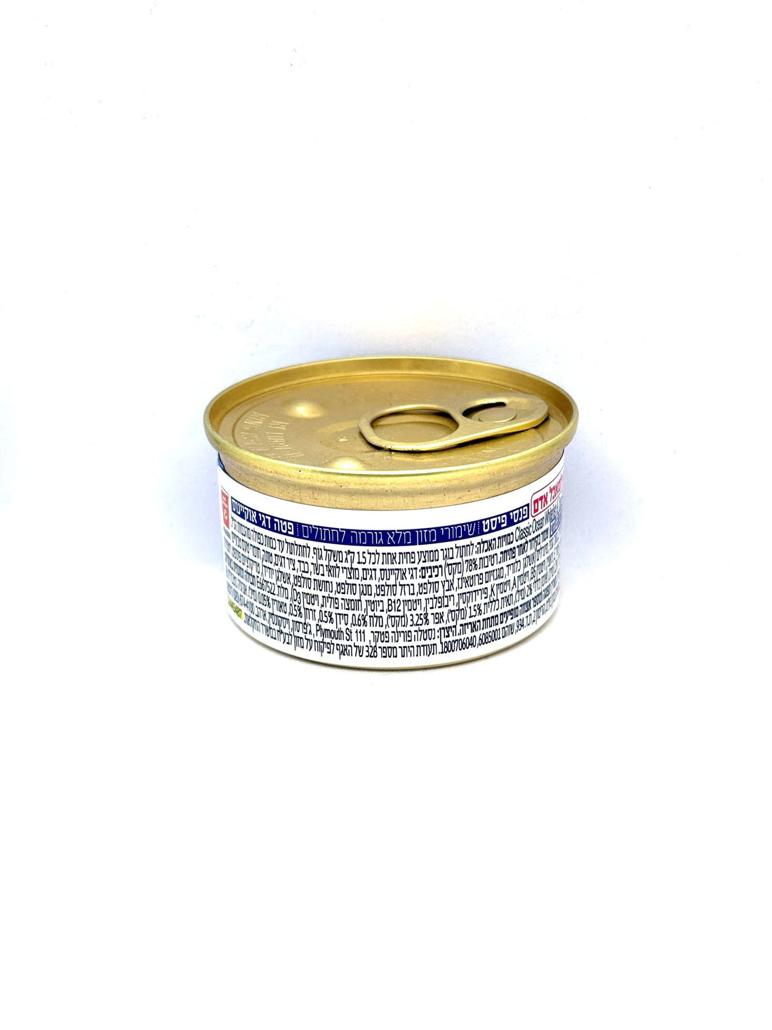 שימורי פנסי פיסט פטה דגי אוקיינוס