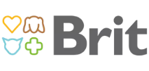 Brit - בריט