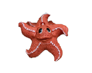 דקורציה כוכב ים